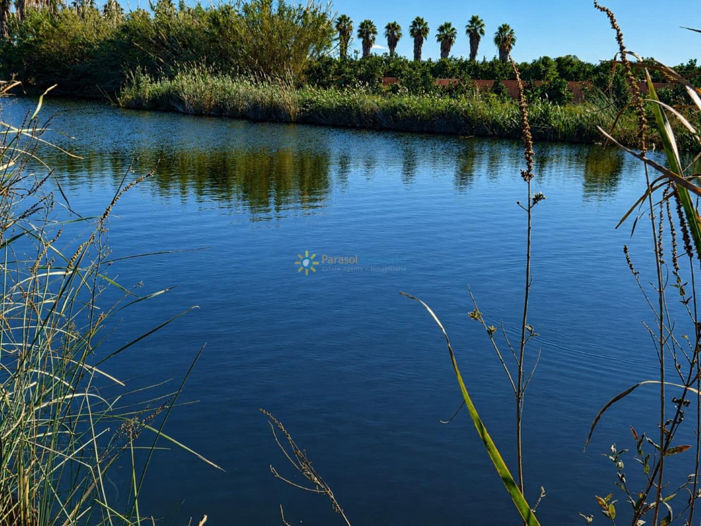 Undeveloped Land for sale in Xeraco - € 88,000 (Ref: 10024799)