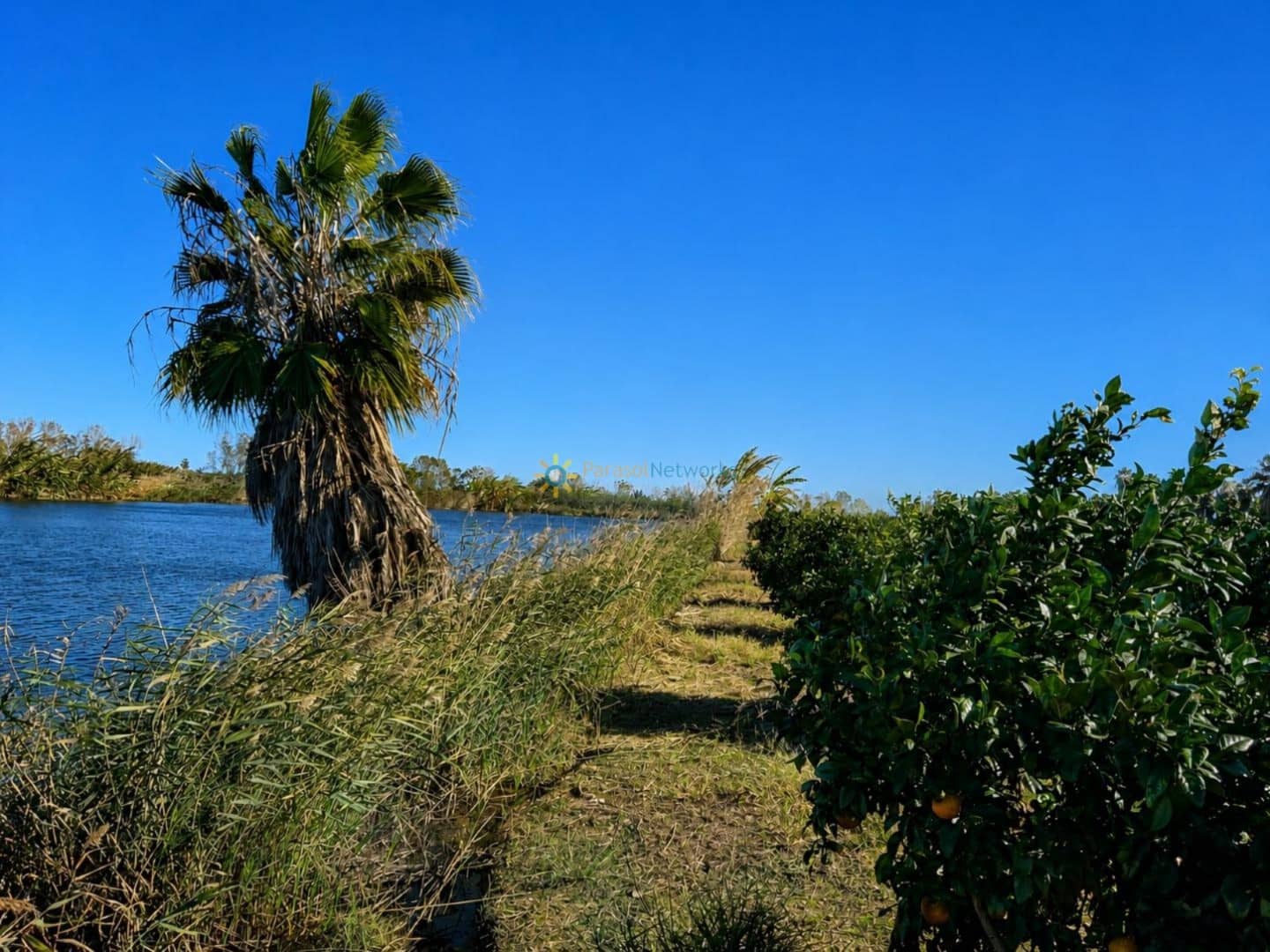Undeveloped Land for sale in Xeraco - € 88,000 (Ref: 10024799)