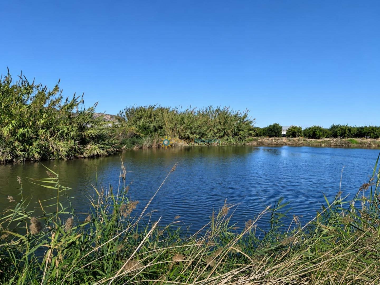 Undeveloped Land for sale in Xeraco - € 88,000 (Ref: 10024799)