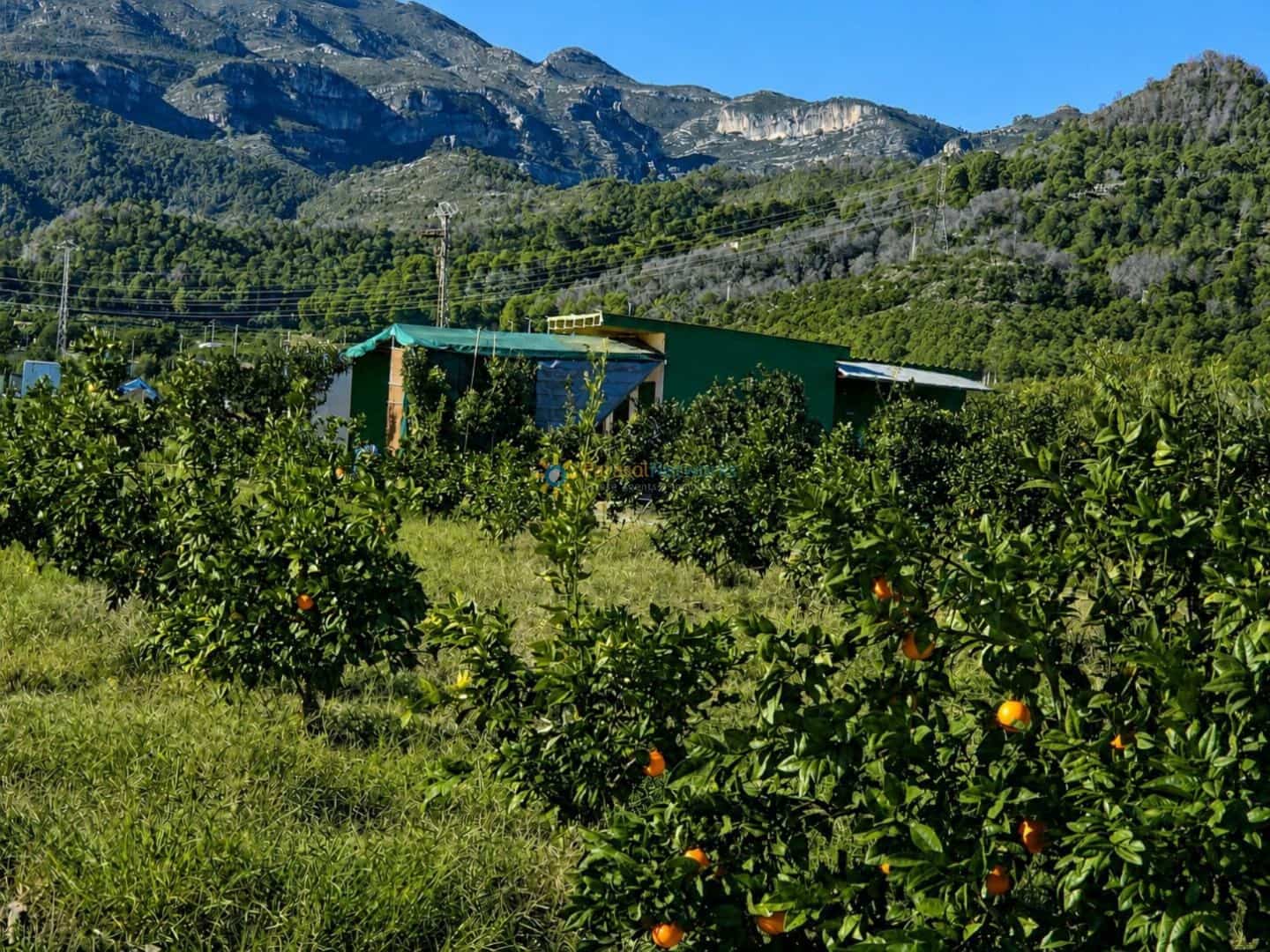 Undeveloped Land for sale in Xeraco - € 88,000 (Ref: 10024799)