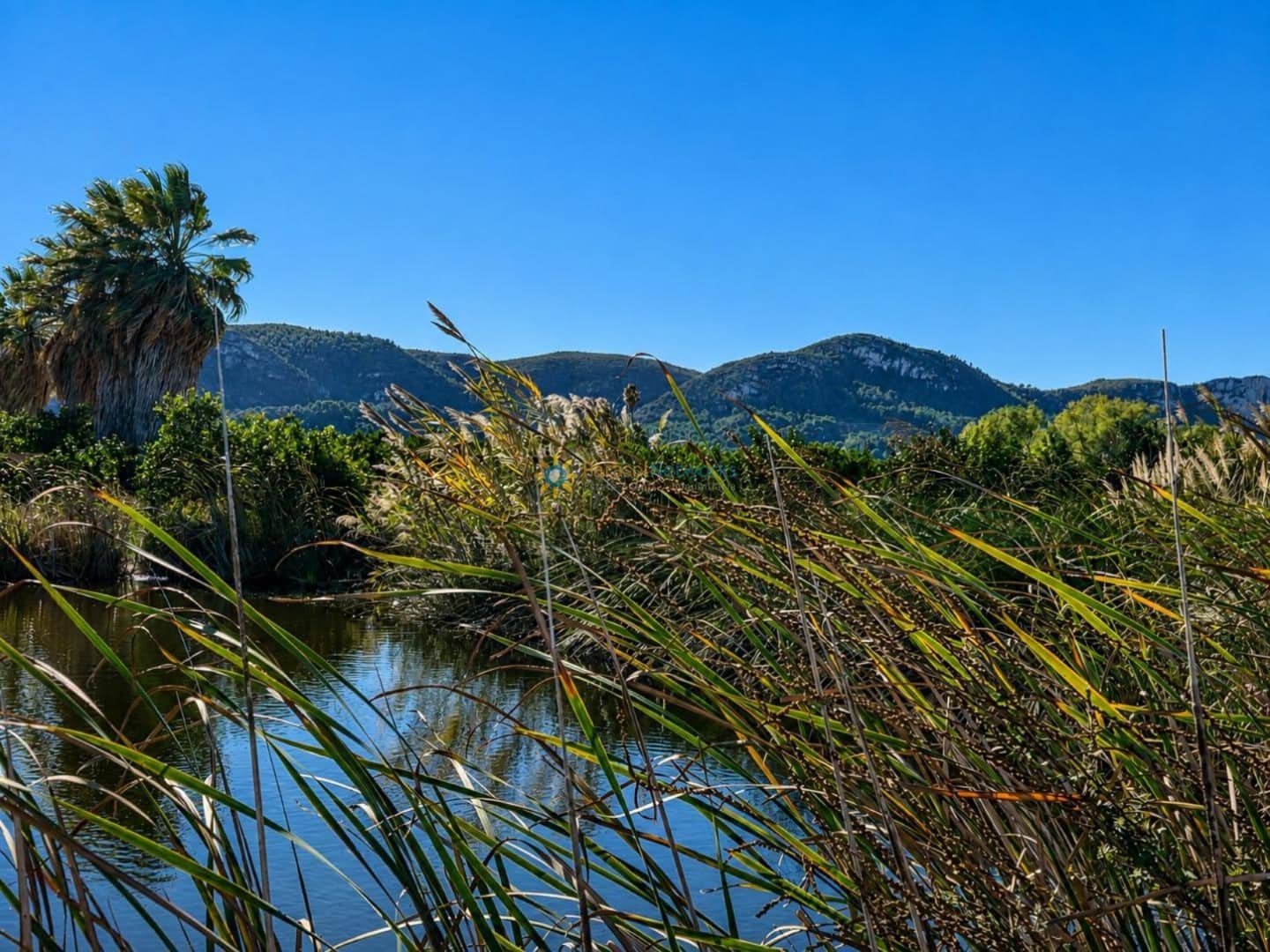 Undeveloped Land for sale in Xeraco - € 88,000 (Ref: 10024799)