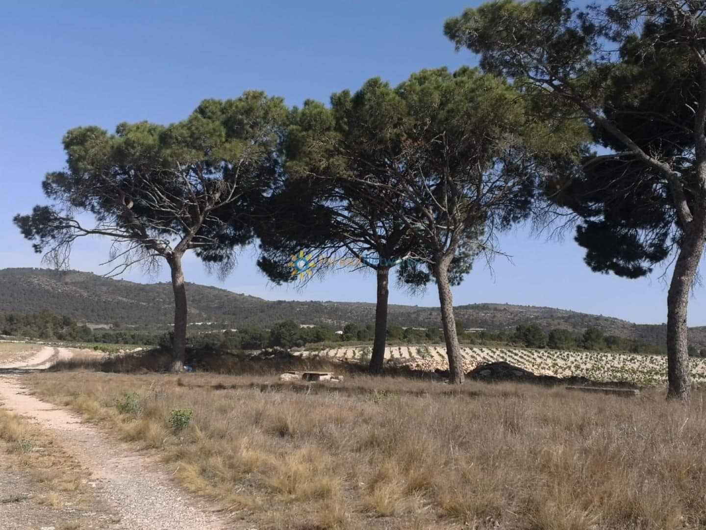 3 Zimmer Finca/Landgut zu verkaufen in Villena - 1.000.000 € (Ref: 10024882)