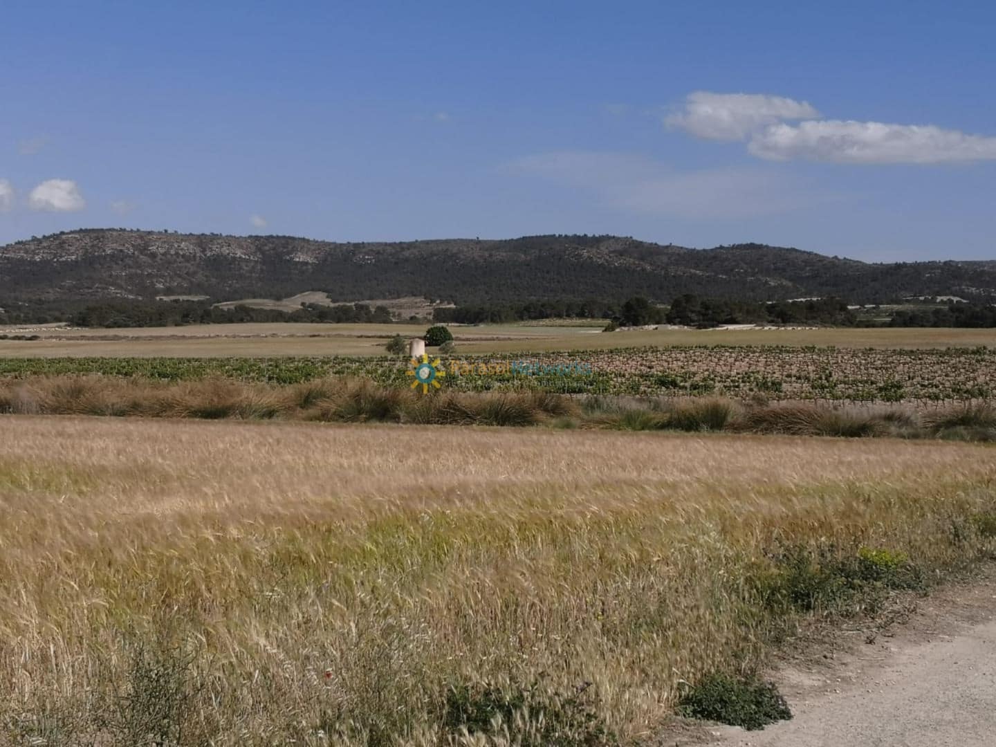 3 Zimmer Finca/Landgut zu verkaufen in Villena - 1.000.000 € (Ref: 10024882)