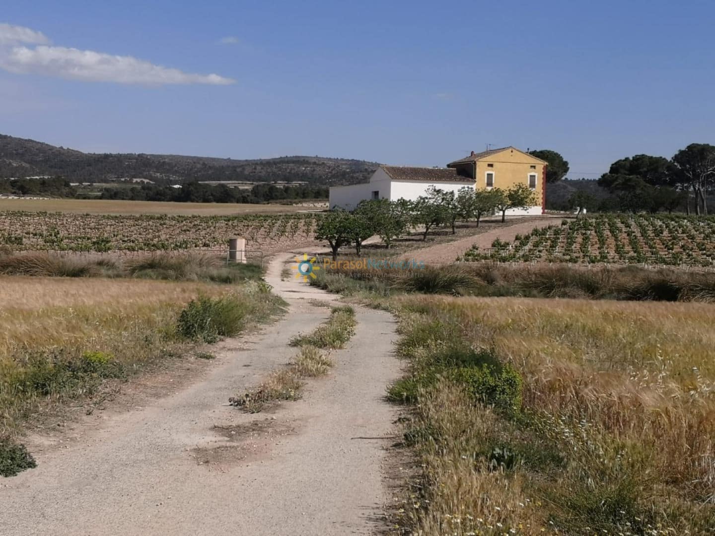 3 Zimmer Finca/Landgut zu verkaufen in Villena - 1.000.000 € (Ref: 10024882)