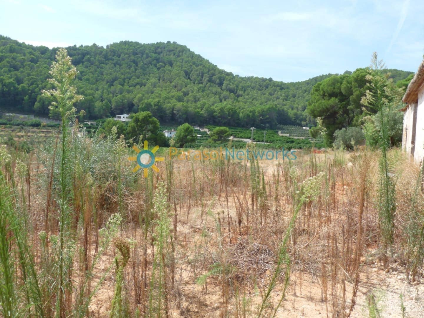 Terreno para Construção para venda em Real de Gandia - 125 000 € (Ref: 10025987)