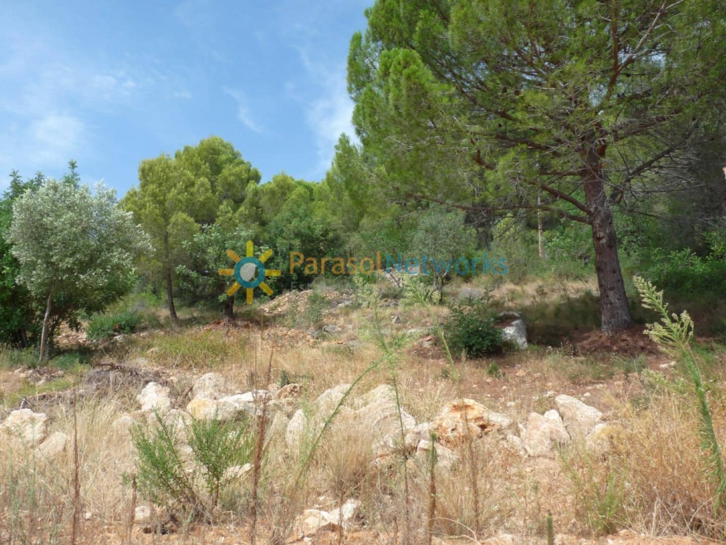 Terreno para Construção para venda em Real de Gandia - 125 000 € (Ref: 10025987)