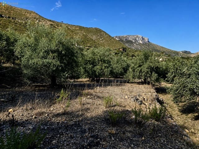 Terreno Não Urbanizado para venda em L'Atzúvia - 25 000 € (Ref: 10026575)