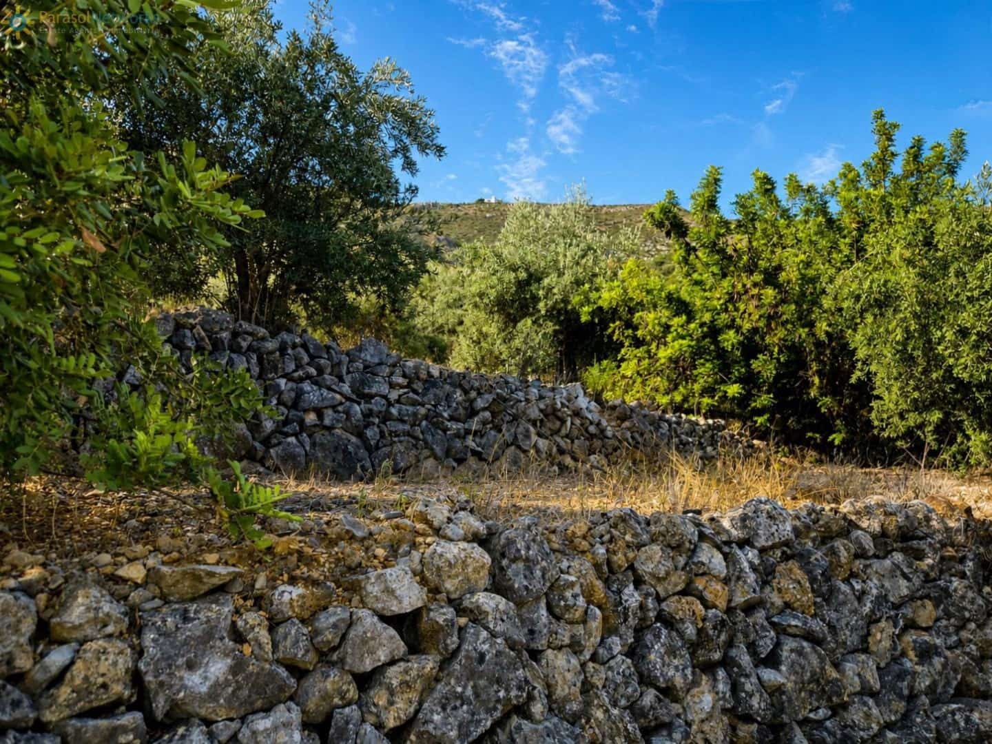 Terreno Não Urbanizado para venda em L'Atzuvia - 25 000 € (Ref: 10026575)