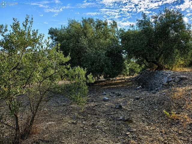 Terreno Não Urbanizado para venda em L'Atzúvia - 25 000 € (Ref: 10026575)