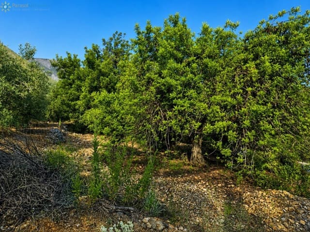 Terreno Não Urbanizado para venda em L'Atzúvia - 25 000 € (Ref: 10026575)