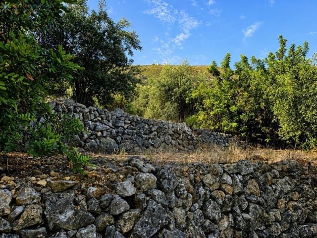 Terreno Não Urbanizado para venda em L'Atzúvia - 25 000 € (Ref: 10026575)