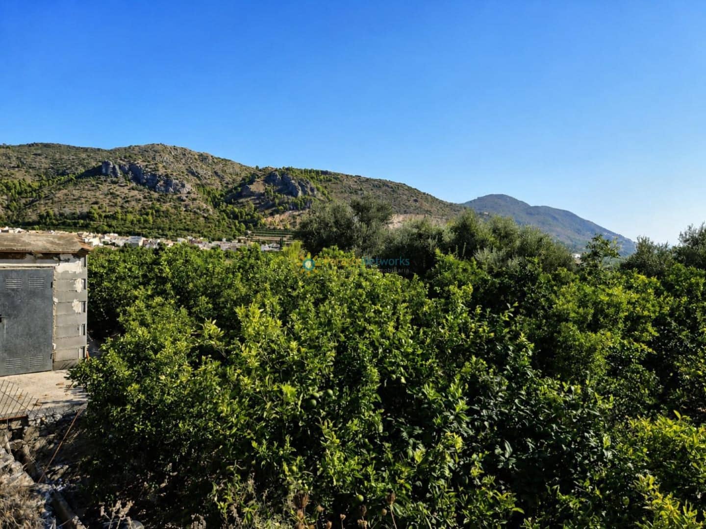 Terreno Não Urbanizado para venda em L'Atzuvia - 25 000 € (Ref: 10029802)