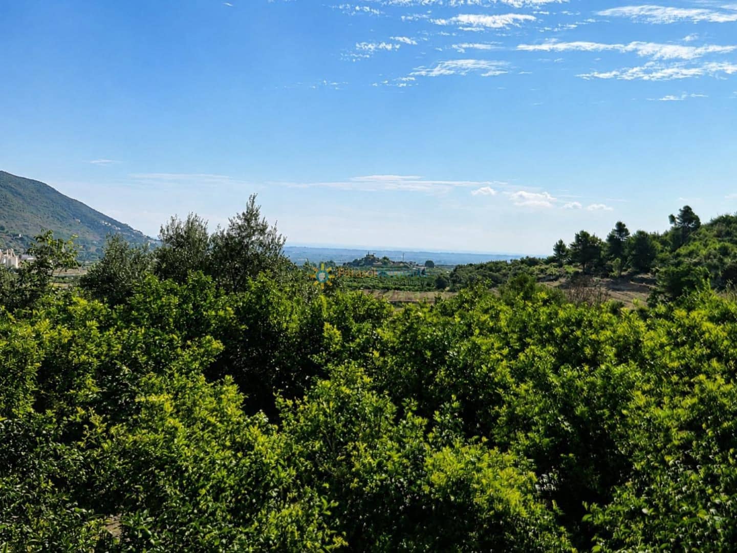 Terreno Não Urbanizado para venda em L'Atzuvia - 25 000 € (Ref: 10029802)
