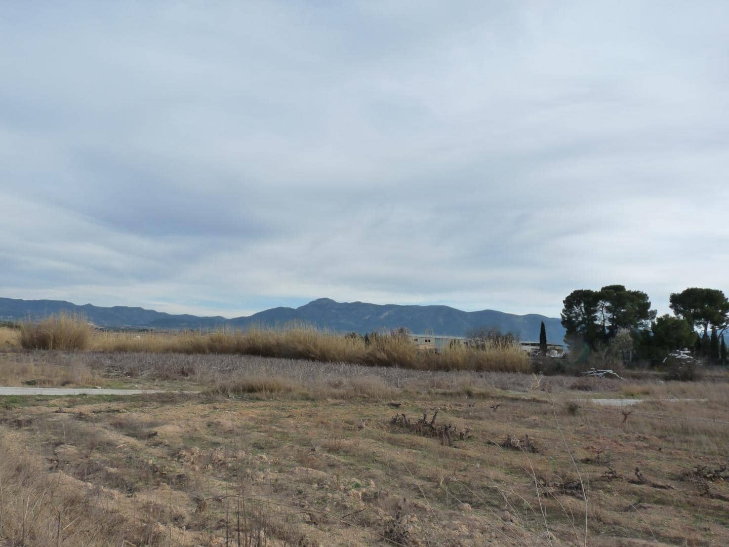 Undeveloped Land for sale in Alfarrasi - € 29,000 (Ref: 10030865)