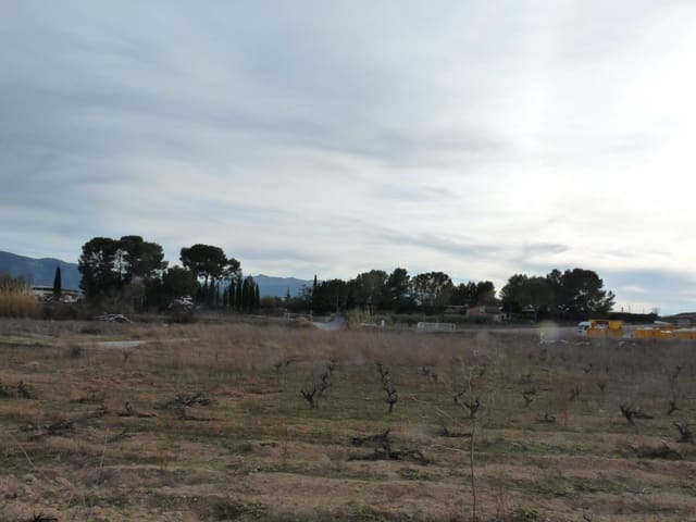 Undeveloped Land for sale in Alfarrasí - € 29,000 (Ref: 10030865)
