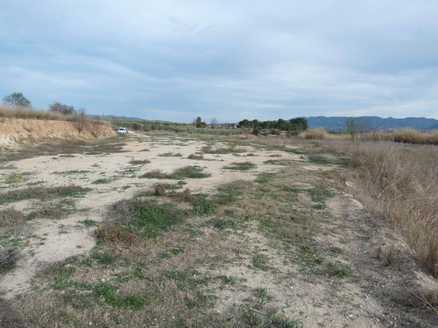 Undeveloped Land for sale in Alfarrasi - € 29,000 (Ref: 10030865)