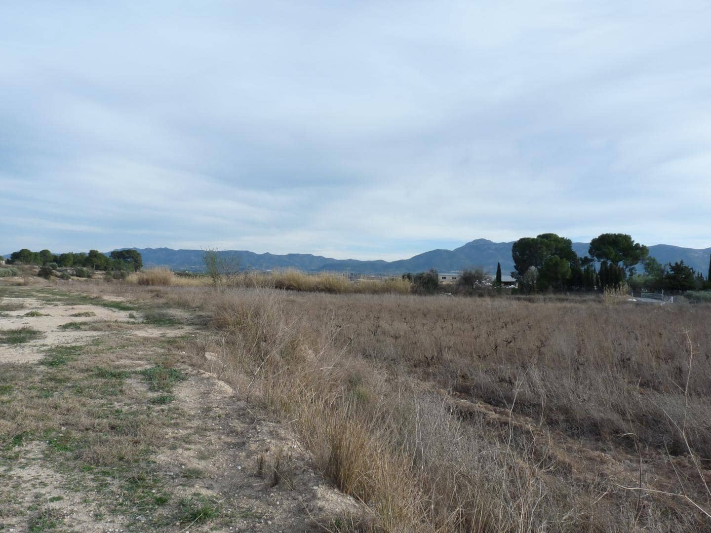 Undeveloped Land for sale in Alfarrasi - € 29,000 (Ref: 10030865)