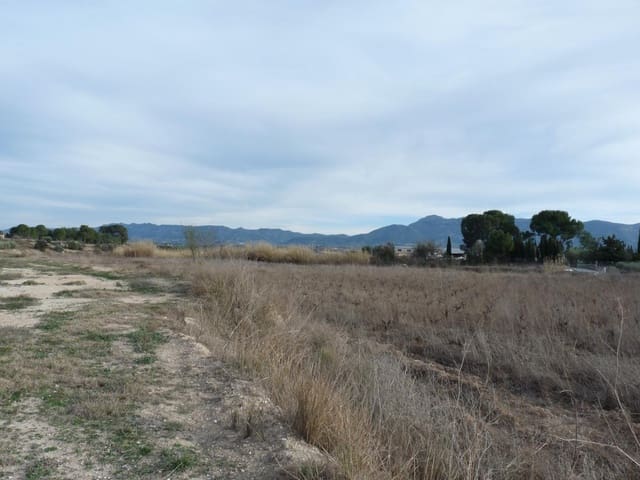Undeveloped Land for sale in Alfarrasí - € 29,000 (Ref: 10030865)