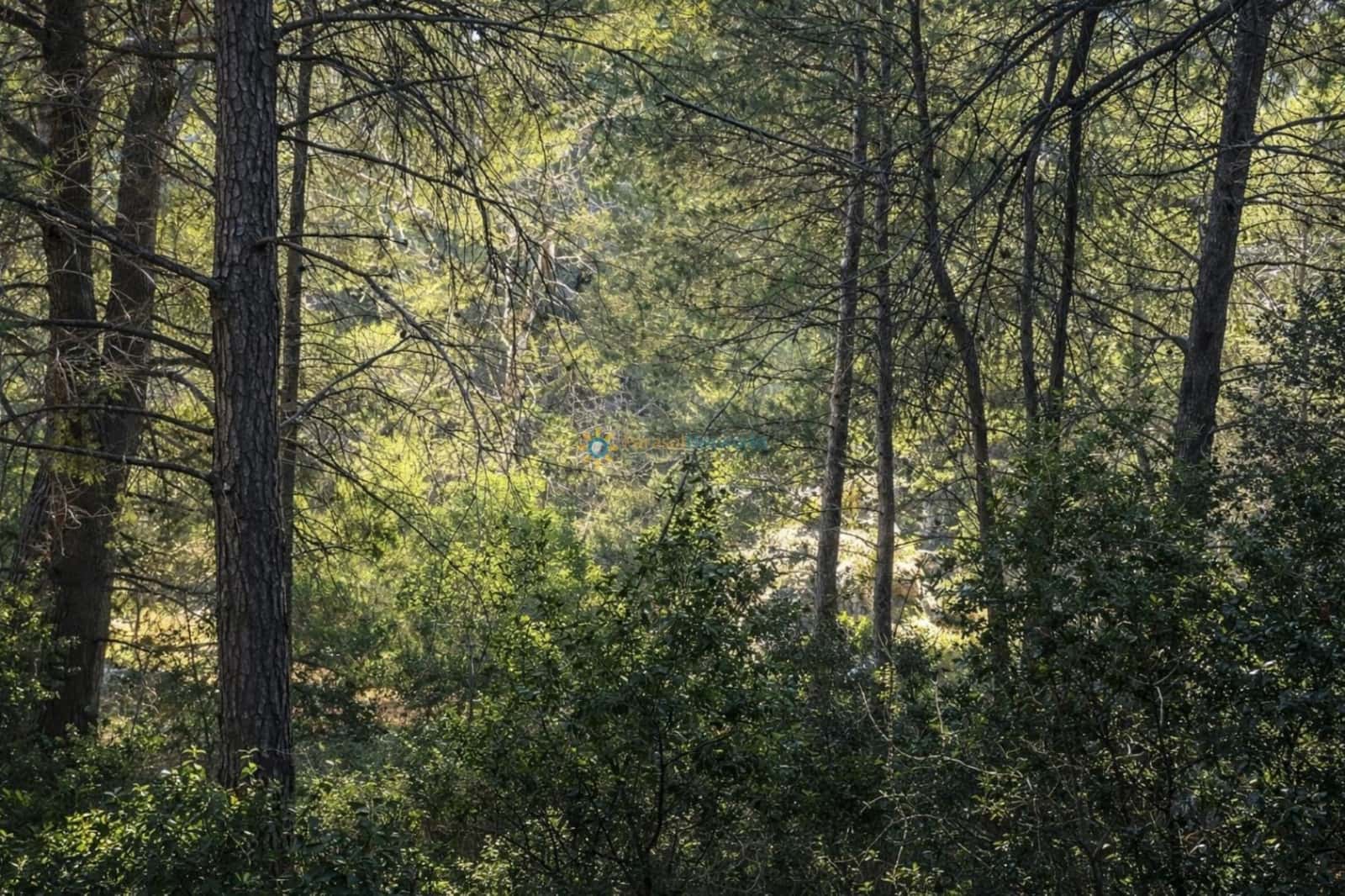Terreno Non Edificato in vendita in Muro de Alcoy - 150.000 € (Rif: 10031301)