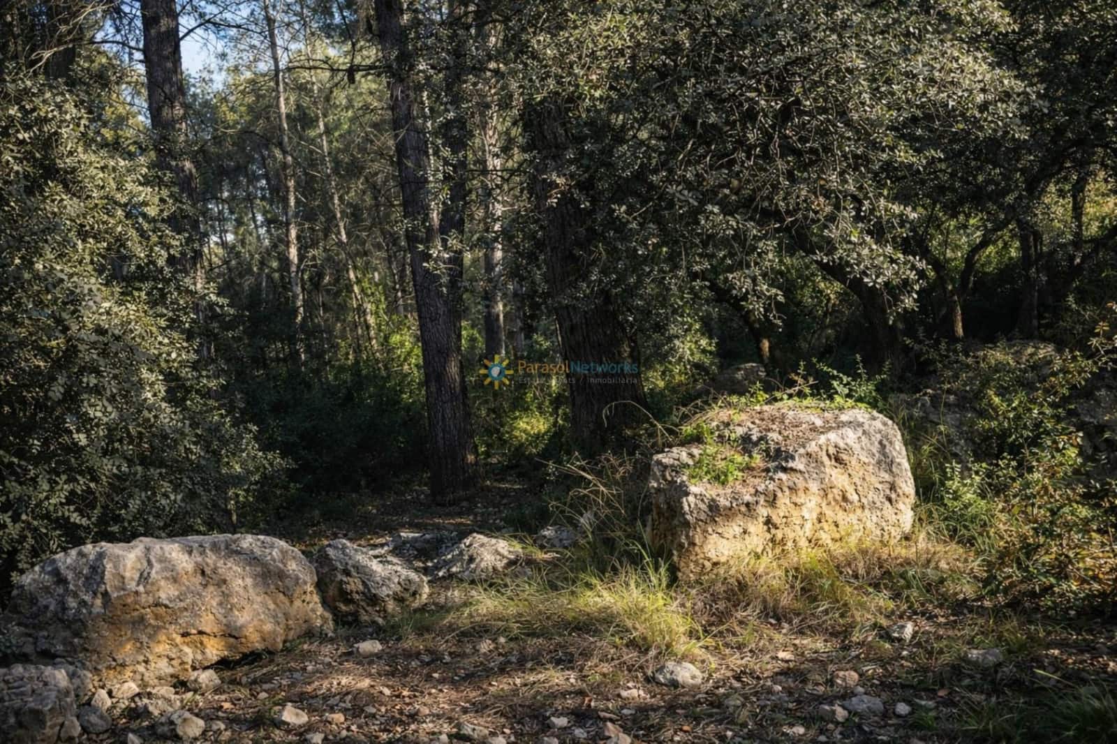 Terreno Non Edificato in vendita in Muro de Alcoy - 150.000 € (Rif: 10031301)