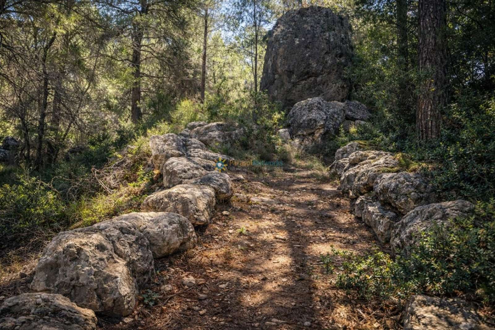 Terreno Non Edificato in vendita in Muro de Alcoy - 150.000 € (Rif: 10031301)