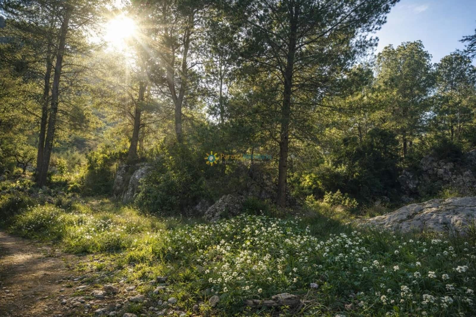Terreno Non Edificato in vendita in Muro de Alcoy - 150.000 € (Rif: 10031301)