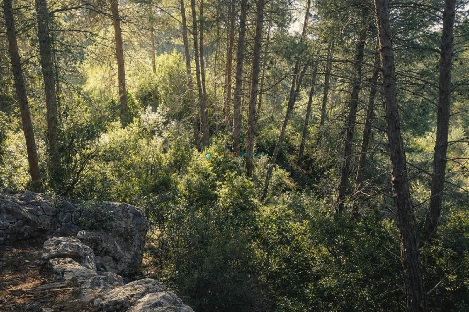 Terreno Non Edificato in vendita in Muro de Alcoy - 150.000 € (Rif: 10031301)