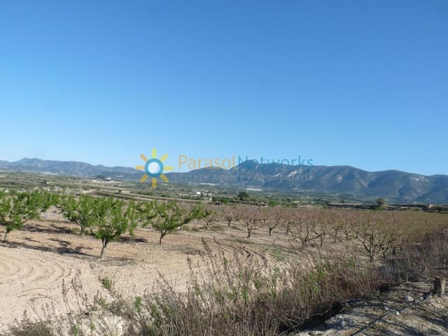 Landgrundstück zu verkaufen in Bèlgida - 125.000 € (Ref: 10033228)