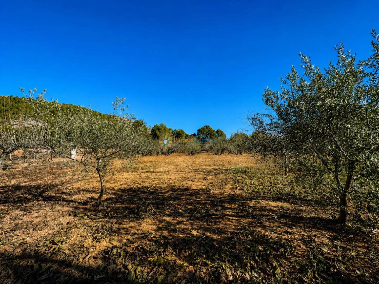 6 soveværelse Villa til salg i L'Olleria med swimmingpool garage - € 485.000 (Ref: 10034466)