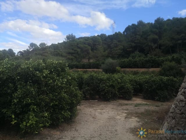 Landgrundstück zu verkaufen in Sellent - 31.000 € (Ref: 10034591)