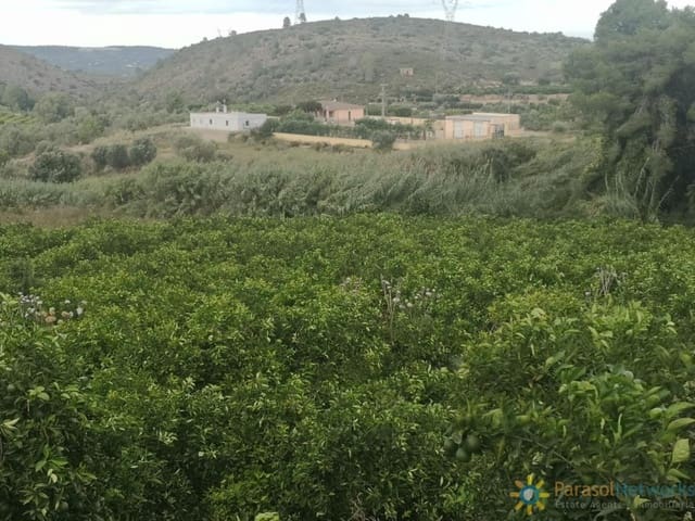 Landgrundstück zu verkaufen in Sellent - 31.000 € (Ref: 10034591)