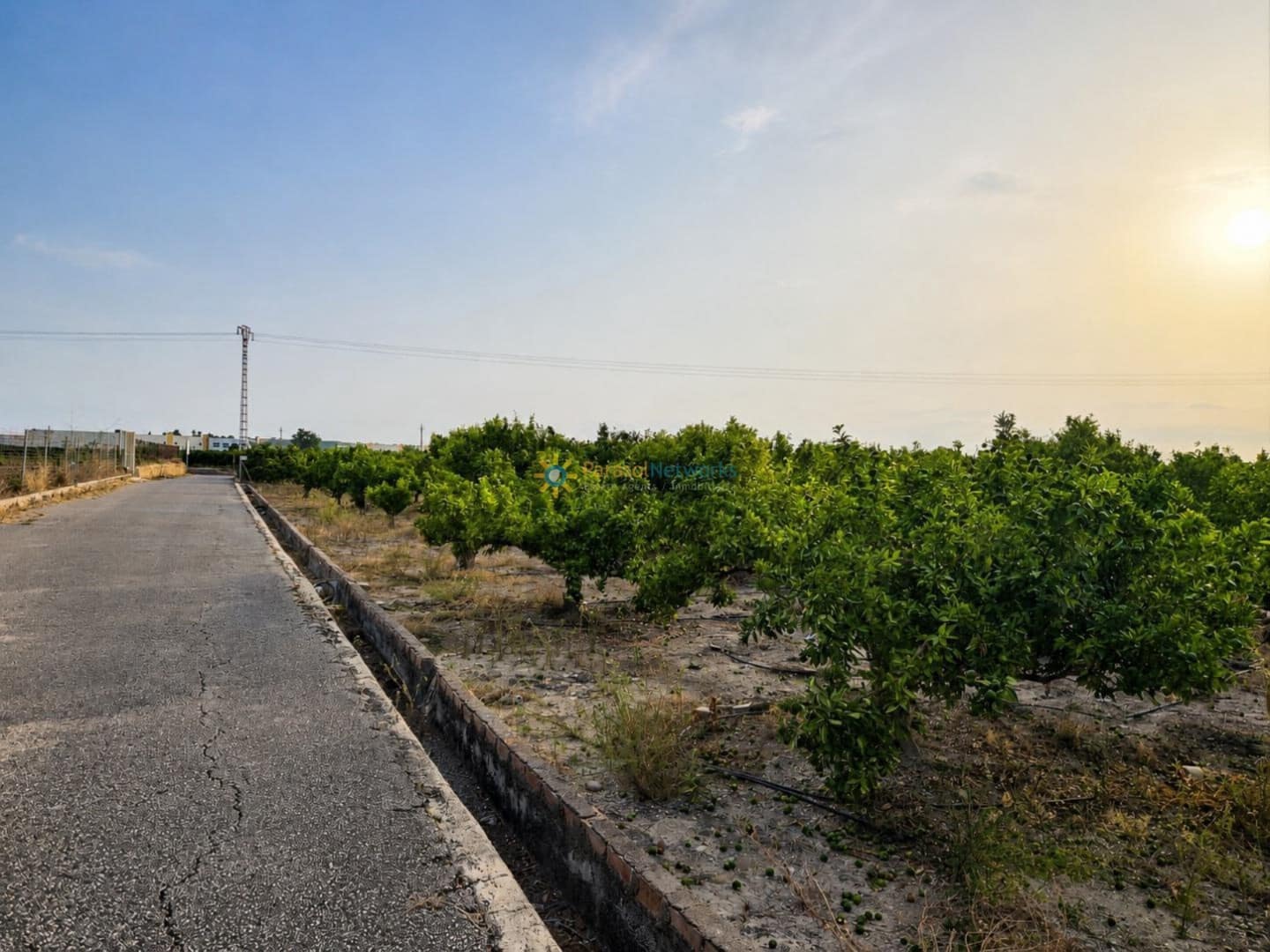 Terreno Non Edificato in vendita in Alqueria de la Comtessa - 42.000 € (Rif: 10035755)