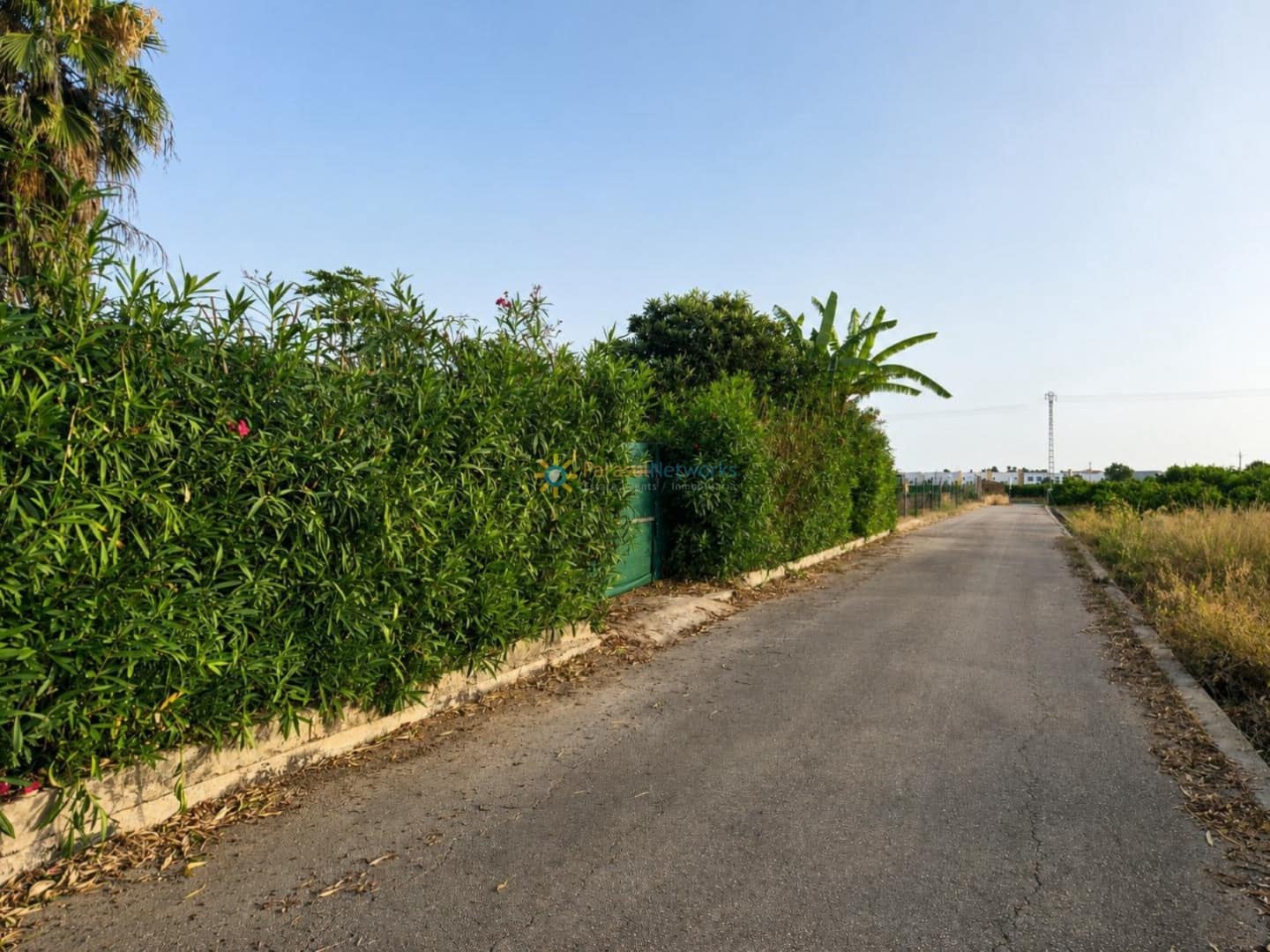 Terreno Non Edificato in vendita in Alqueria de la Comtessa - 42.000 € (Rif: 10035755)