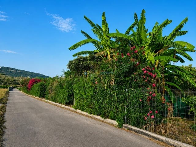 Terreno Non Edificato in vendita in Alqueria de la Comtessa - 42.000 € (Rif: 10035755)