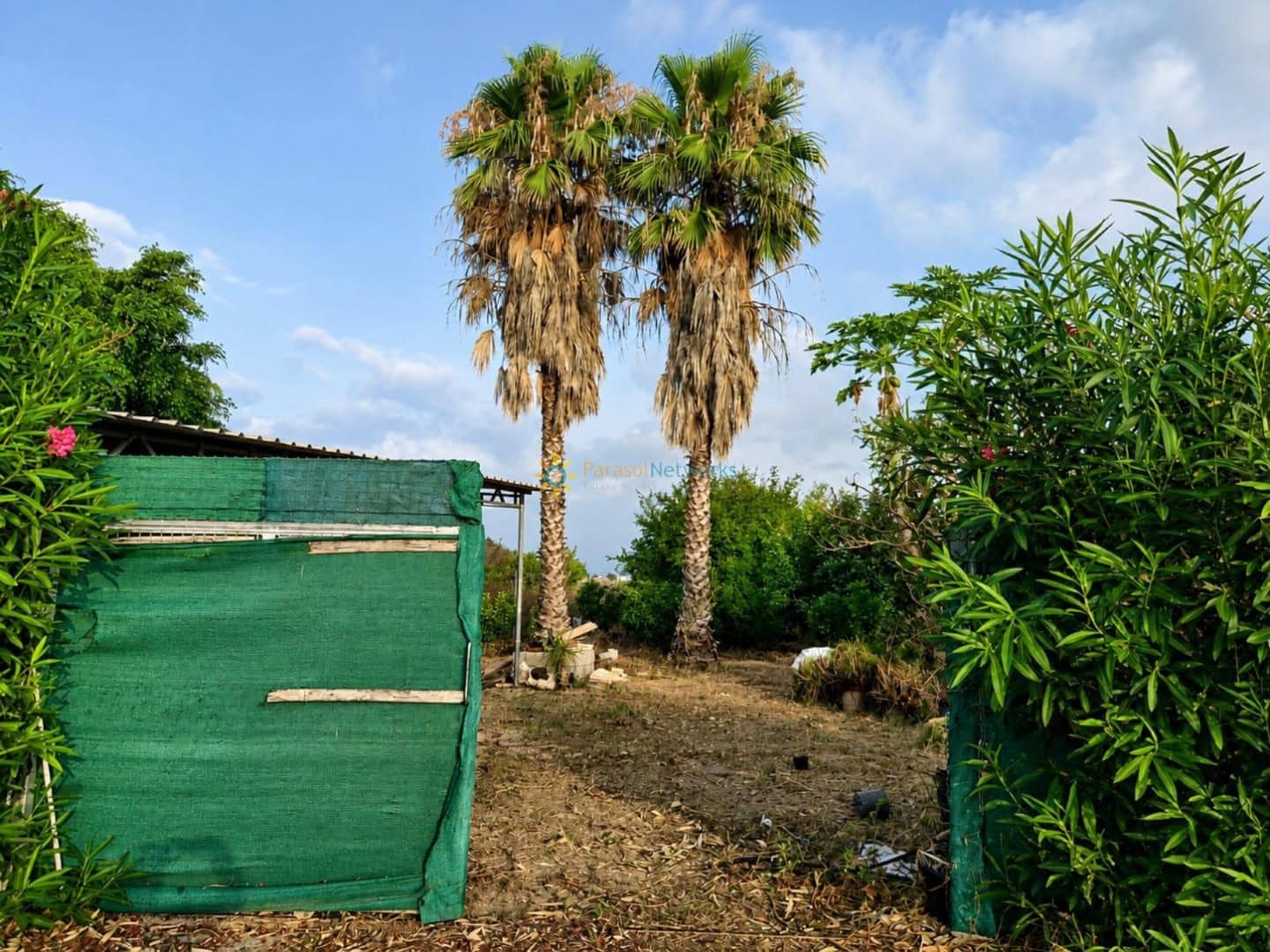 Terreno Non Edificato in vendita in Alqueria de la Comtessa - 42.000 € (Rif: 10035755)