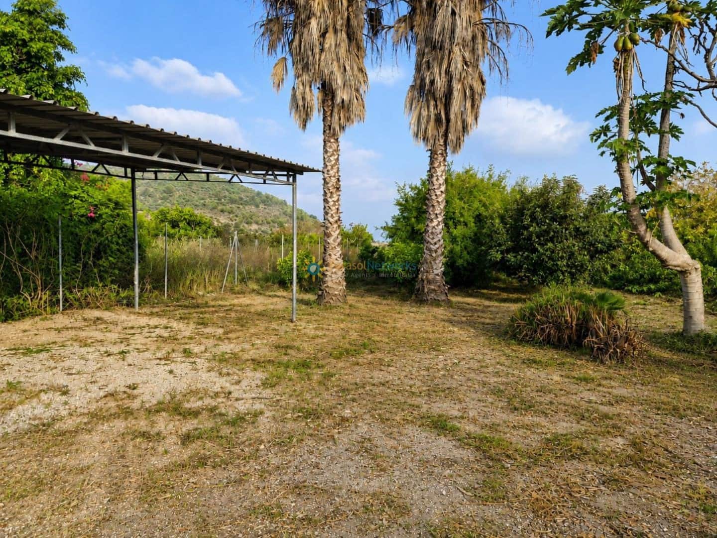 Terreno Non Edificato in vendita in Alqueria de la Comtessa - 42.000 € (Rif: 10035755)