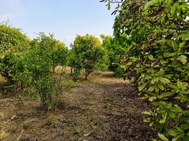 Terreno Non Edificato in vendita in Alqueria de la Comtessa - 42.000 € (Rif: 10035755)