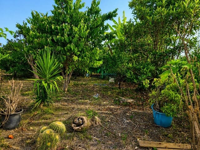 Terreno Non Edificato in vendita in Alqueria de la Comtessa - 42.000 € (Rif: 10035755)
