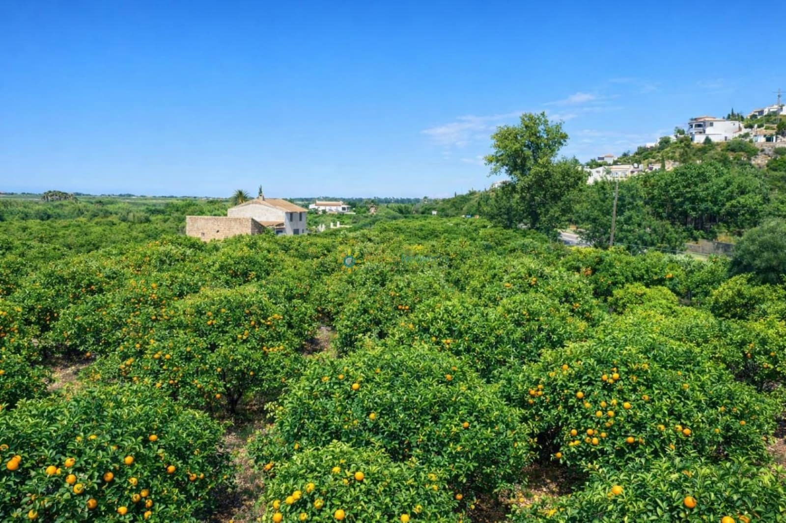 2 chambre Finca/Maison de Campagne à vendre à Pego avec garage - 200 000 € (Ref: 10035939)