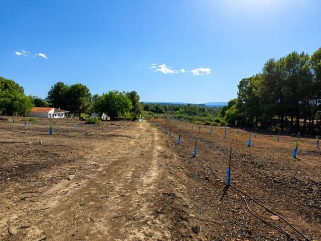 Landgrundstück zu verkaufen in Sumacàrcer - 98.000 € (Ref: 10039992)