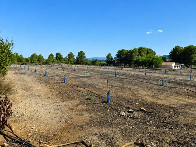 Landgrundstück zu verkaufen in Sumacàrcer - 98.000 € (Ref: 10039992)