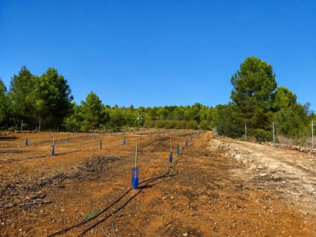 Landgrundstück zu verkaufen in Sumacàrcer - 98.000 € (Ref: 10039992)