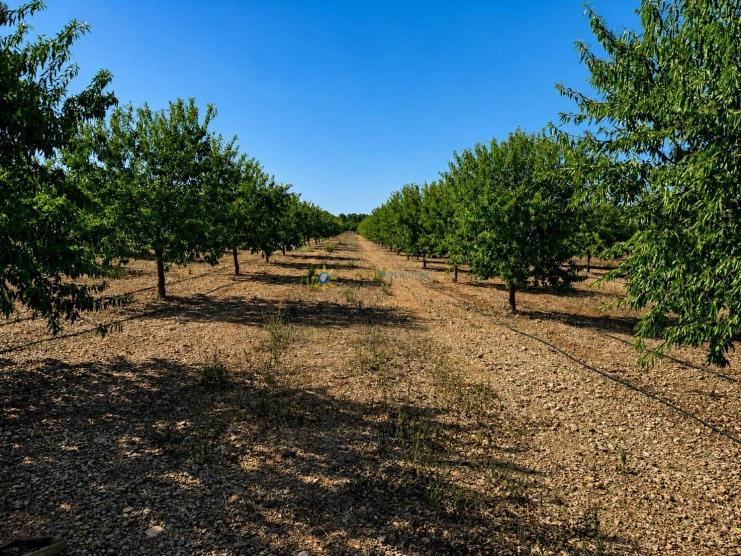 Grunde uden byggetilladelser til salg i Sumacarcer - € 98.000 (Ref: 10039992)