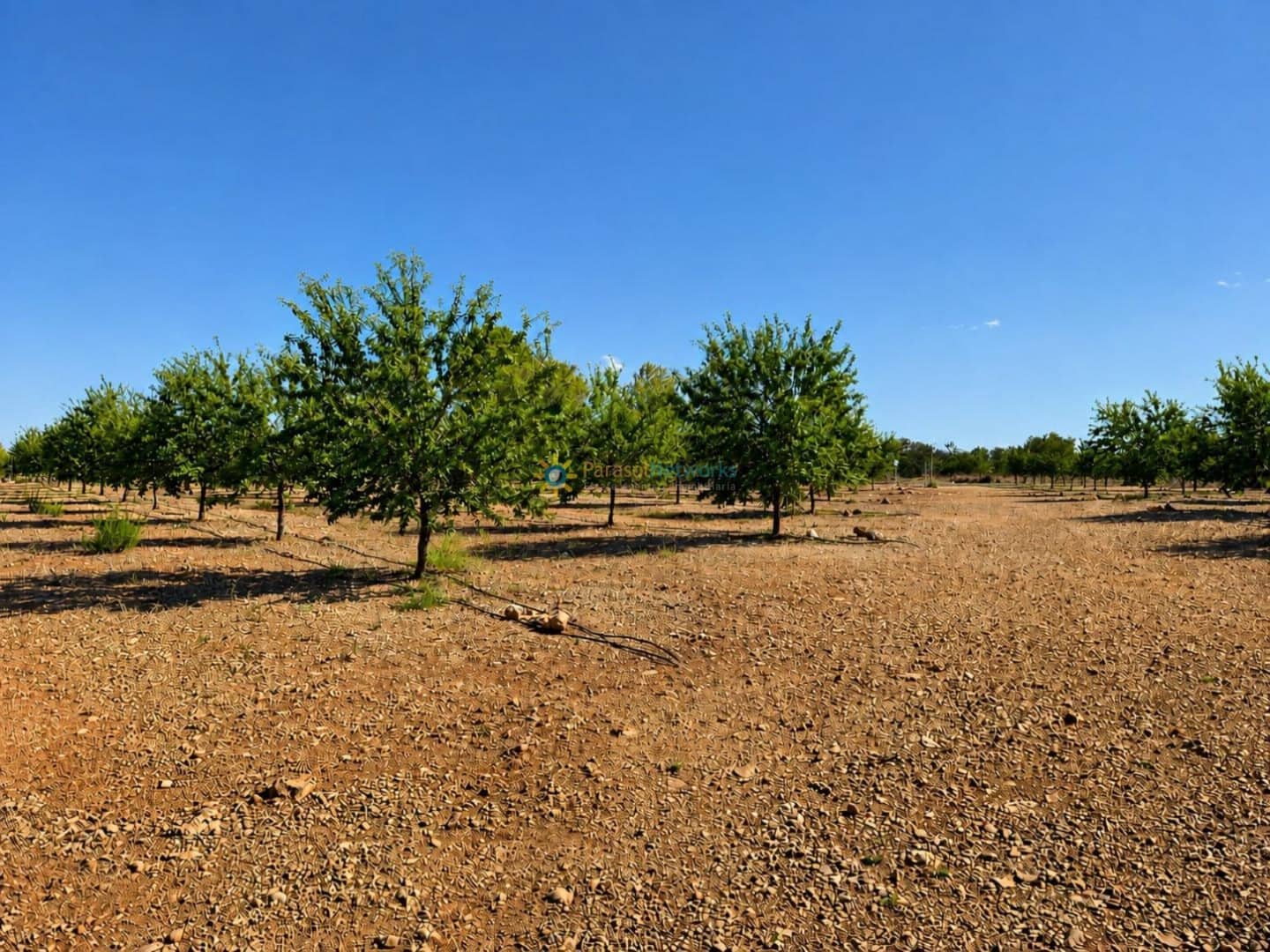 Grunde uden byggetilladelser til salg i Sumacarcer - € 98.000 (Ref: 10039992)