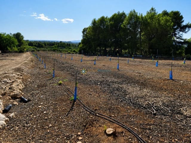 Landgrundstück zu verkaufen in Sumacàrcer - 98.000 € (Ref: 10039992)