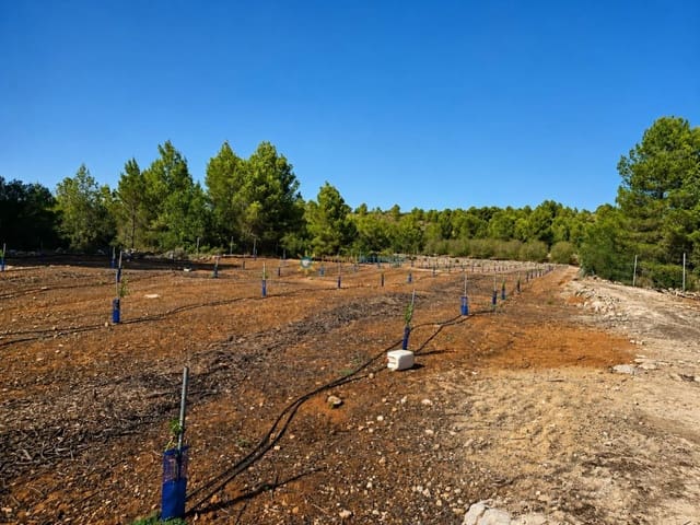 Landgrundstück zu verkaufen in Sumacàrcer - 98.000 € (Ref: 10039992)