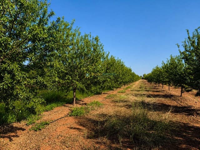 Landgrundstück zu verkaufen in Sumacàrcer - 98.000 € (Ref: 10039992)