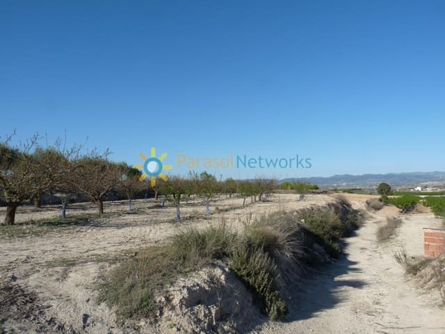 Landgrundstück zu verkaufen in Bèlgida - 125.000 € (Ref: 10044084)