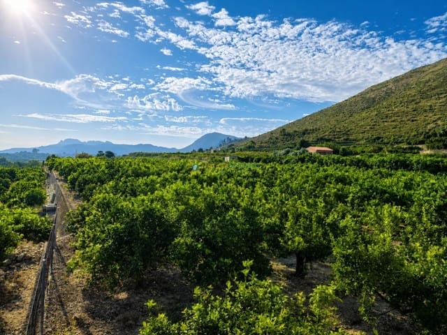 Terrain à Bâtir à vendre à Pego - 130 000 € (Ref: 10099389)