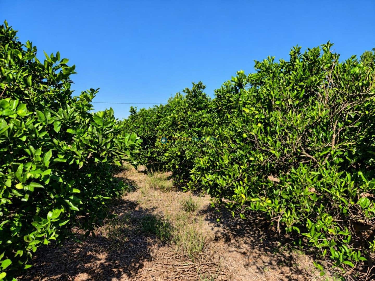 Undeveloped Land for sale in San Juan de Enova - € 48,000 (Ref: 10185480)